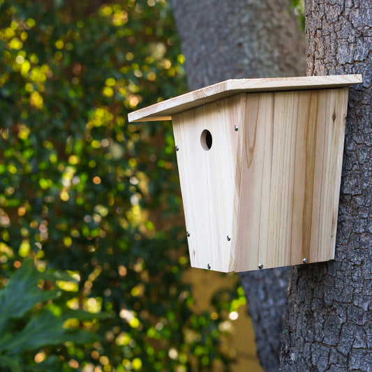 Die Spiegelburg - Vogelnistkasten Bausatz - Nature Zoom - 23172, Bastelset für Mädchen und Jungen, hochwertiges Geschenk Set aus Tannenholz zum selbst Zusammenbauen